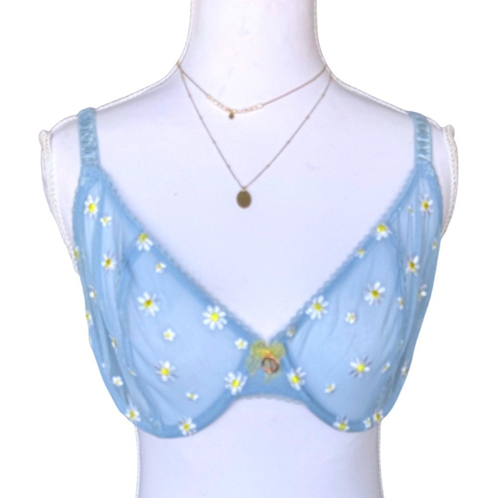 Sheer Floral Daisy Bra Embroidered Mesh Underwire Blue Lounge Underwear 38DD